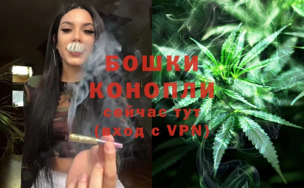 ешки Михайлов
