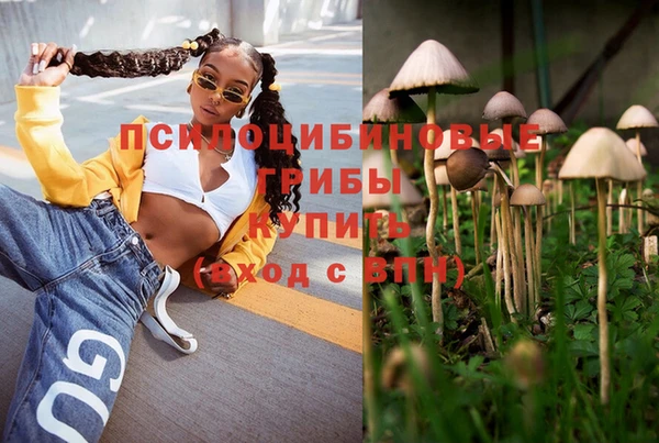 ешки Михайлов