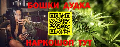 меф Гатчина
