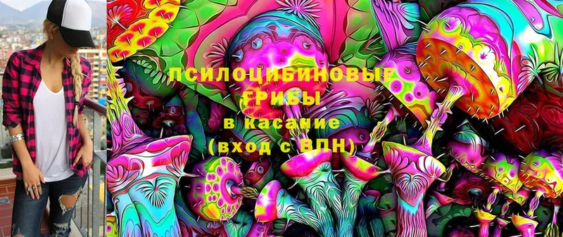 купить закладку  Киров  Псилоцибиновые грибы MAGIC MUSHROOMS 